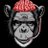 bleezy_db