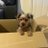 bryn14181