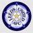 chesserlufc