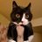 copacetic_cat