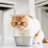dcb3b29b8b294c8
