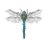 dragon_my_fly