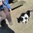 ericthecatmk2