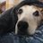 helen_brown65