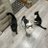 jacqui_archer
