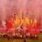 josh_lfc5