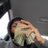 kglizzy_1
