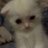 kitcatexe