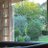 mckyau_steve