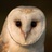 mike_munro