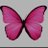 nadine_jasper