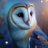 owlshapedheart
