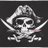 pirate1100