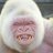 primate12172502