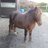 richard9591