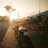 rover_2167