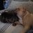 saffy123uk