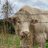 shaunwbull