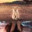 simoes_romeo