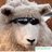 simonlamb11