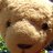 spauldingtbear