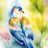 un_oiseau_aqua