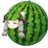 watamelon23