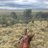 wildwomanhorse